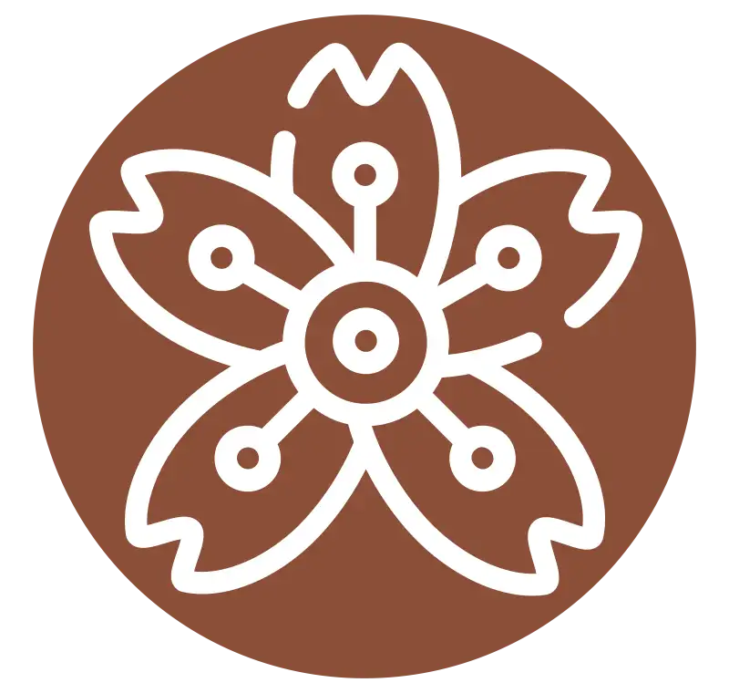 psychotherapie angebot wien depression ängste KALIDA